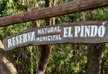 Villa Ocampo: La Reserva Natural «El Pindó» permanece cerrada temporalmente