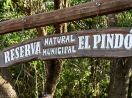 Villa Ocampo: La Reserva Natural «El Pindó» permanece cerrada temporalmente