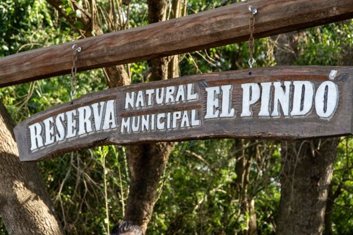 reservaa el pindo