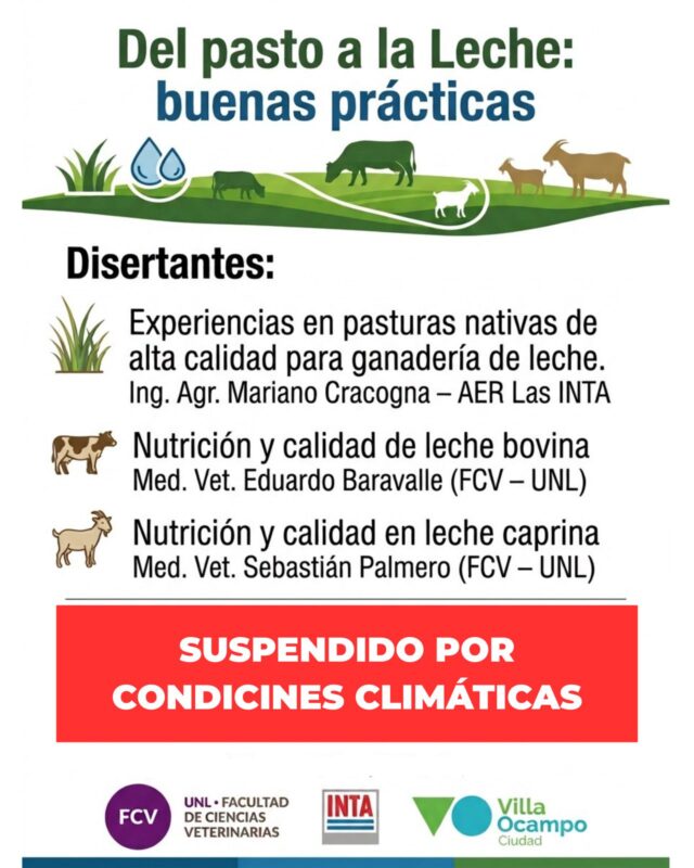 suspendido